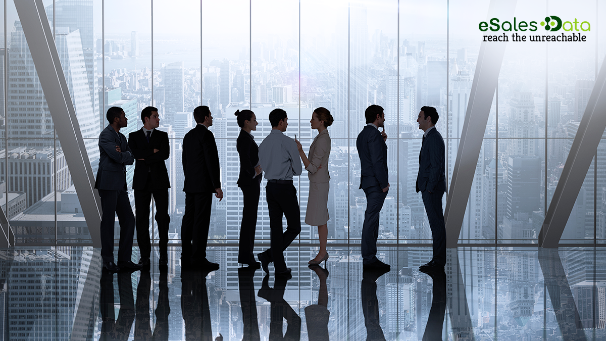 Who are C-suite executives