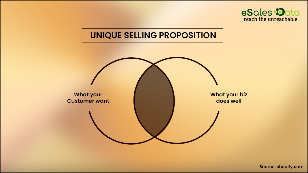 Decide Your Unique Selling Prosposition 